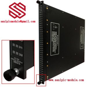 TRICONEX  3625  Digital Output Module