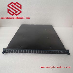 TRICONEX 3625A Digital Output Module