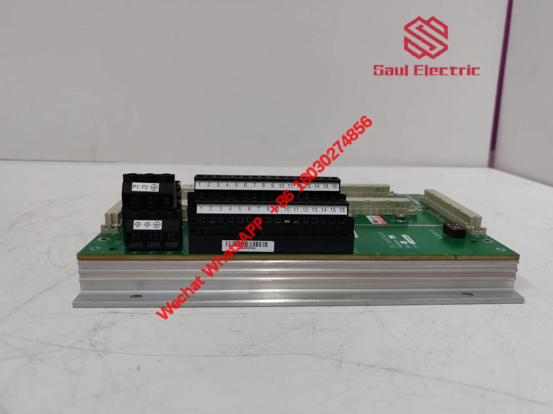 TRICONEX DO2401 7400209-030 Digital Output Module