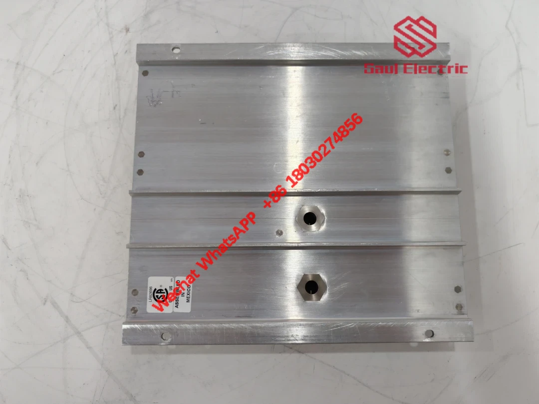 TRICONEX DO2401 7400209-030 Digital Output Module